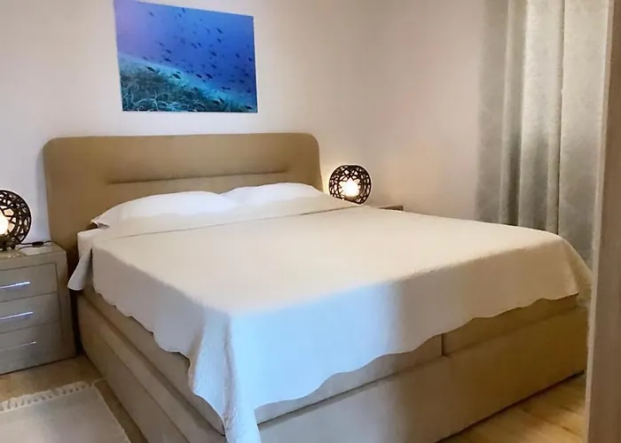 Tasha Mali Lošinj
