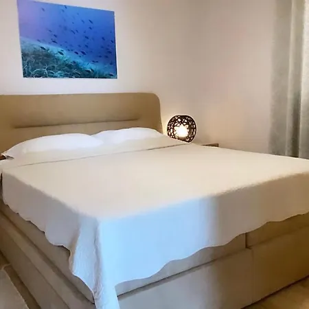 Tasha Mali Lošinj